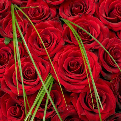 Compra Corazón de Rosas en Barcelona | Flores para Difuntos 2