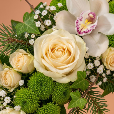 Comprar Coronita flor blanca en Barcelona | Inicio 2