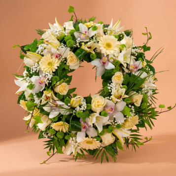 Comprar Coroneta flor blanca a Barcelona | Inici