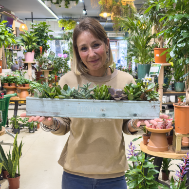 Taller de plantes crasses | Dissenya la teva pròpia composició decorativa 2