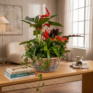 Comprar Pasión Natural en Barcelona | FLORES DÍA DE LA MADRE