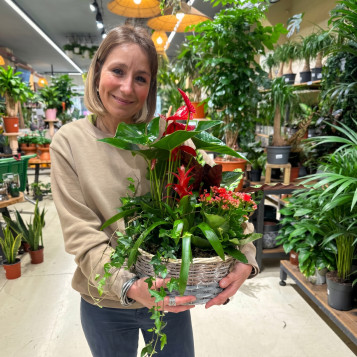 Comprar Pasión Natural en Barcelona | FLORES DÍA DE LA MADRE