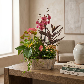 Comprar Encanto Rosa en Barcelona | FLORES DÍA DE LA MADRE