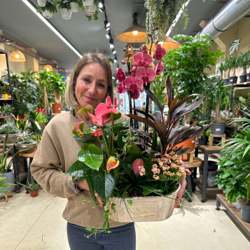Comprar Encanto Rosa en Barcelona | FLORES DÍA DE LA MADRE