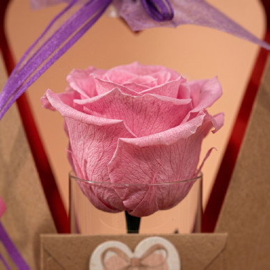 Rosa preservada Día de la Madre | Regalo eterno elegante para mamá 2