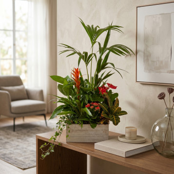 Grupo de Plantas Luxury | Decoración Natural Premium para Hogar u Oficina