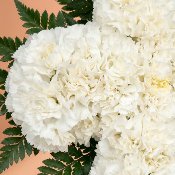 Comprar Cruz de Claveles Blancos en Barcelona | Flores para Difuntos