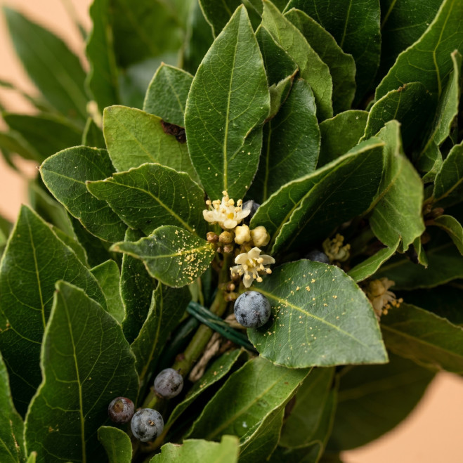 Comprar Corona de Laurel en Barcelona | Flores para Difuntos