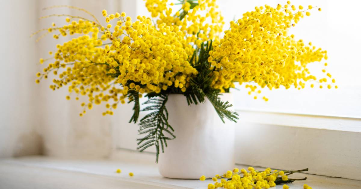 ¿Qué hace especial a un ramo con flores de invierno?
