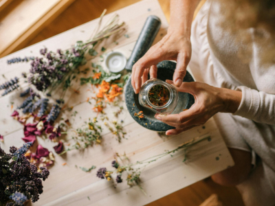 Plantas de interior con Propiedades Medicinales