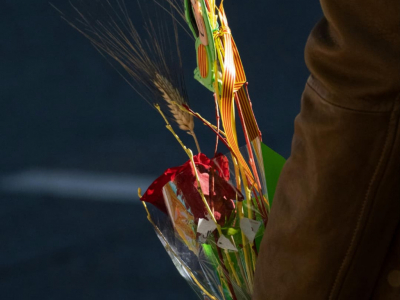 El Significado de la Espiga en la Rosa de Sant Jordi
