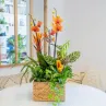 Grupos de plantas