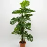Plantas artificiales