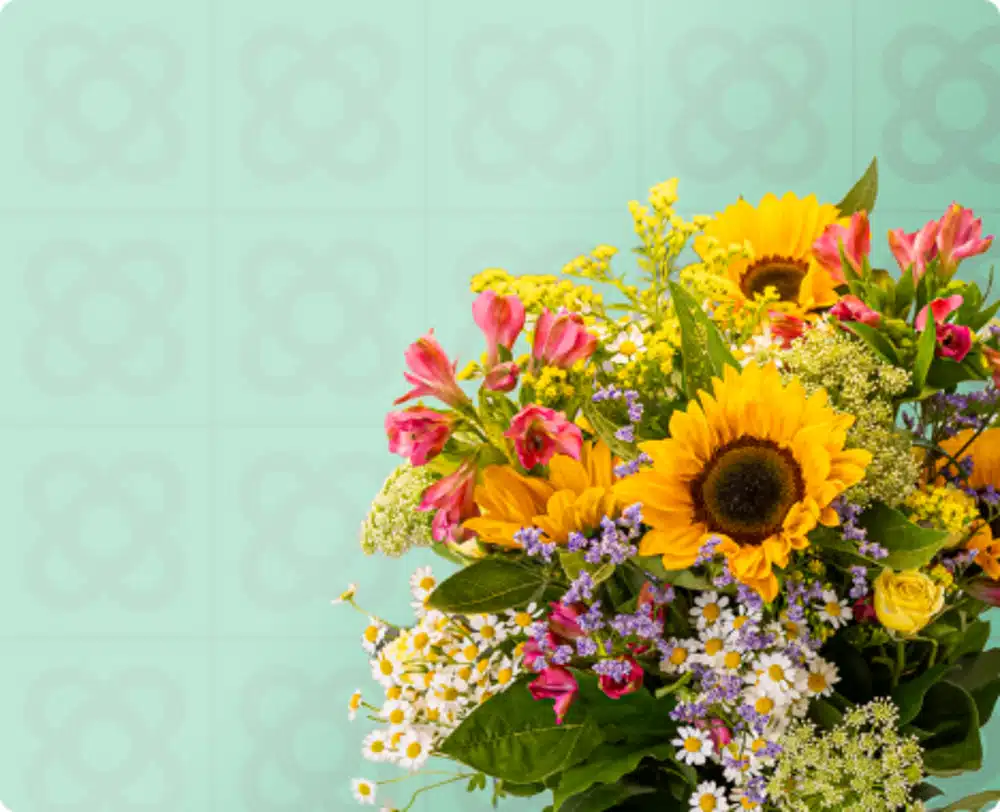 Colección primavera - Flores Navarro