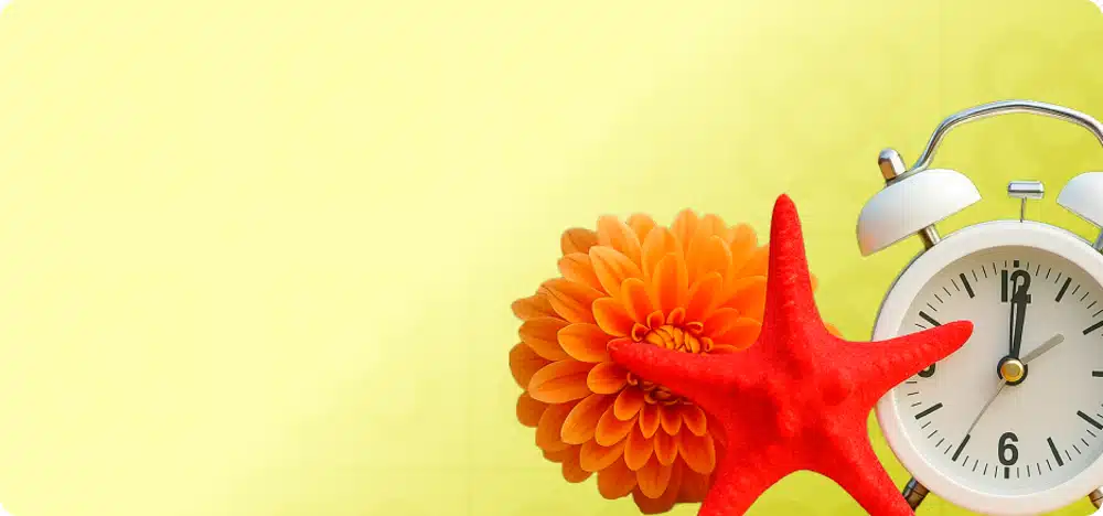 Banner home 5