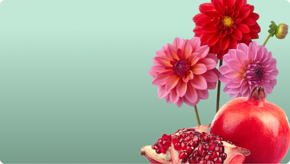 Taller Fruta y Flor