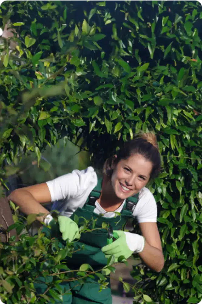 Servicio Jardinería - Flores Navarro